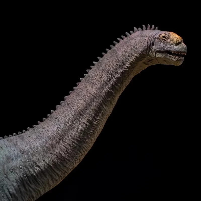 نموذج ديناصور ما قبل التاريخ 85 نموذج ديناصور Camarasaurus Niyol تمثال لعبة جمع الحلي هدايا العيد للأصدقاء