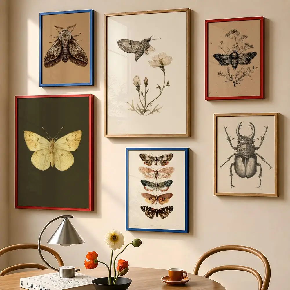Vintage Insects Moth Butterfly Beetle Botanical Sketch Poster PP Wall Art Print Removable Home Decor Cafe Apartment Gift