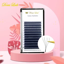 Domi 3D4D5D W Shape Premade Volume Fans Lashes Large Bundle Clover Bloom Natural Soft Dense Natural False Idividual Eyelashes