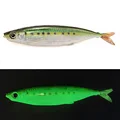 sardine