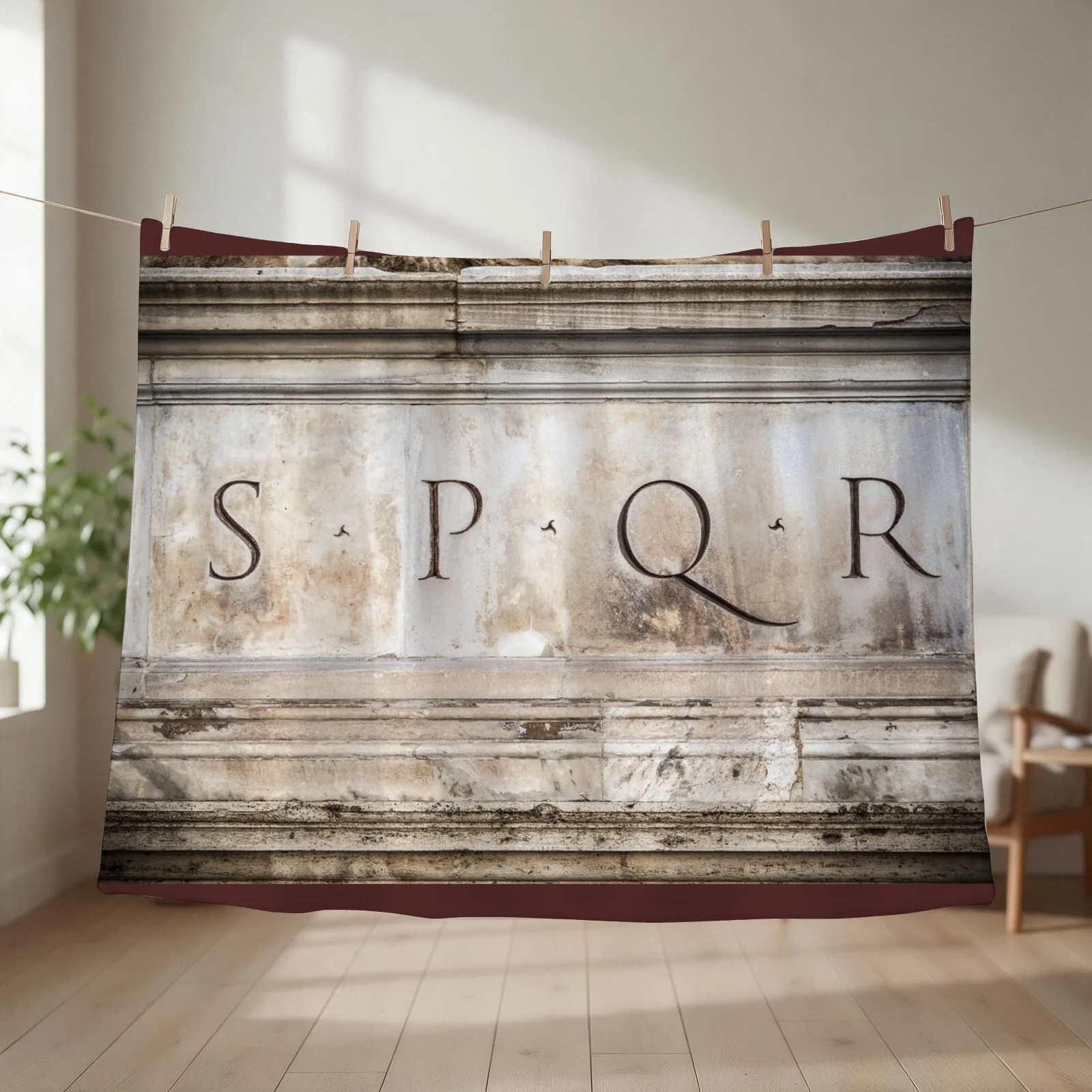 SPQR engraved on stone in Rome, Italy Throw Blanket couch cozy soft plush fuzzy picnic outdoor blanket