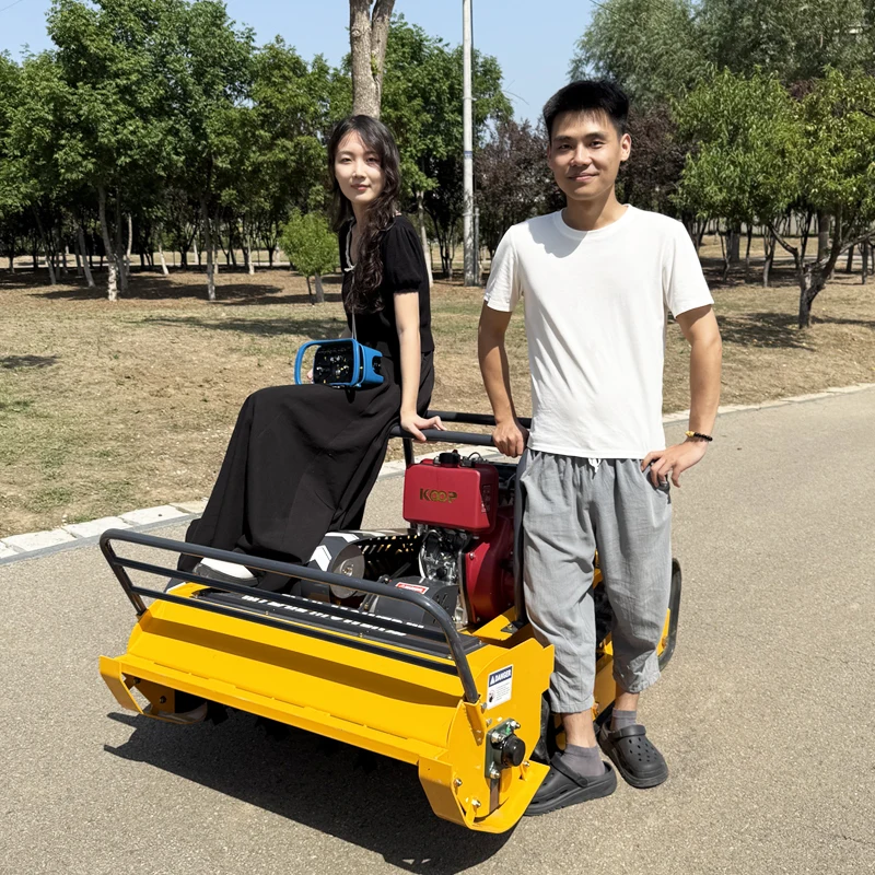 

Флакосилка с радиоуправлением по индивидуальному заказу, флакосилка с дистанционным управлением, домашнее производство, завод с двигателем, резка травы