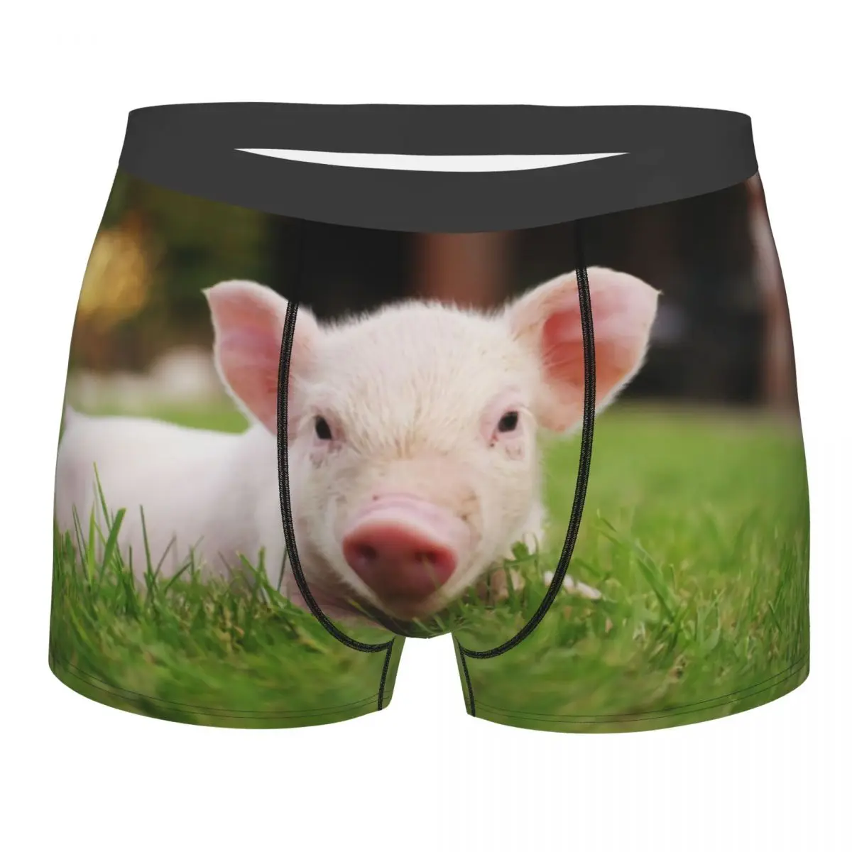 Custom Male Funny Little Baby Piglet Pig Underwear Animal Piggy Lover Boxer Briefs Stretch Shorts Panties Underpants