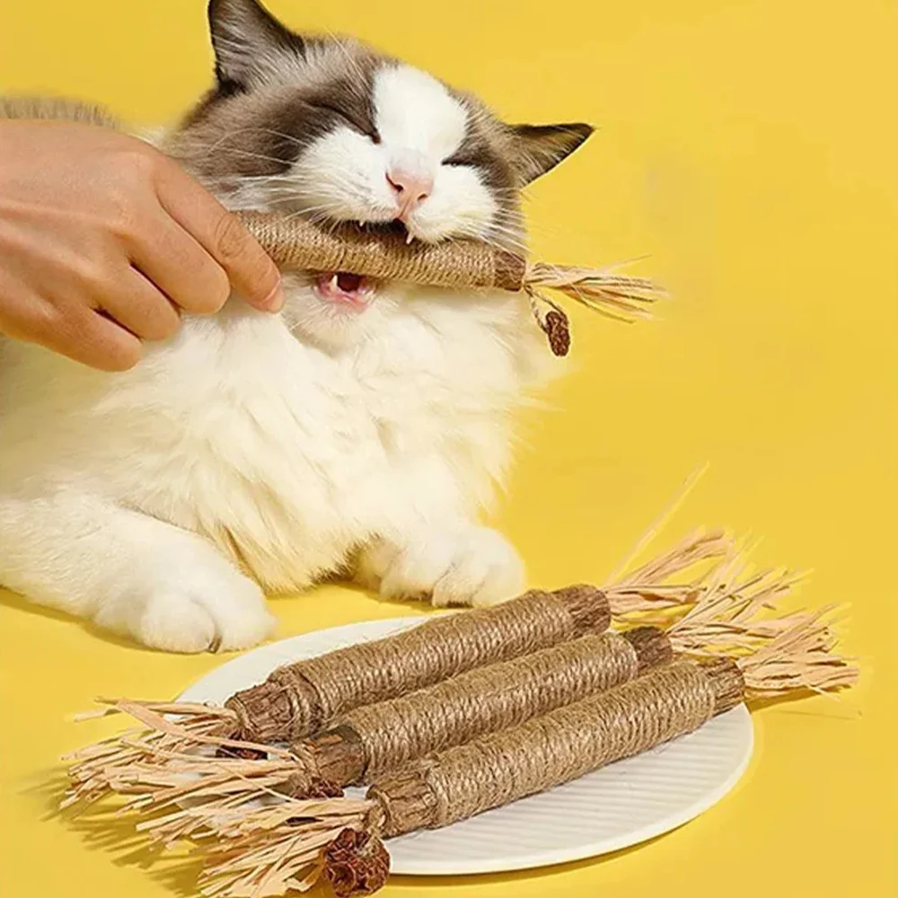 Palito 100% Natural para Gato Sem Conservantes Limpeza Mecânica dos Dentes Petisco Seguro