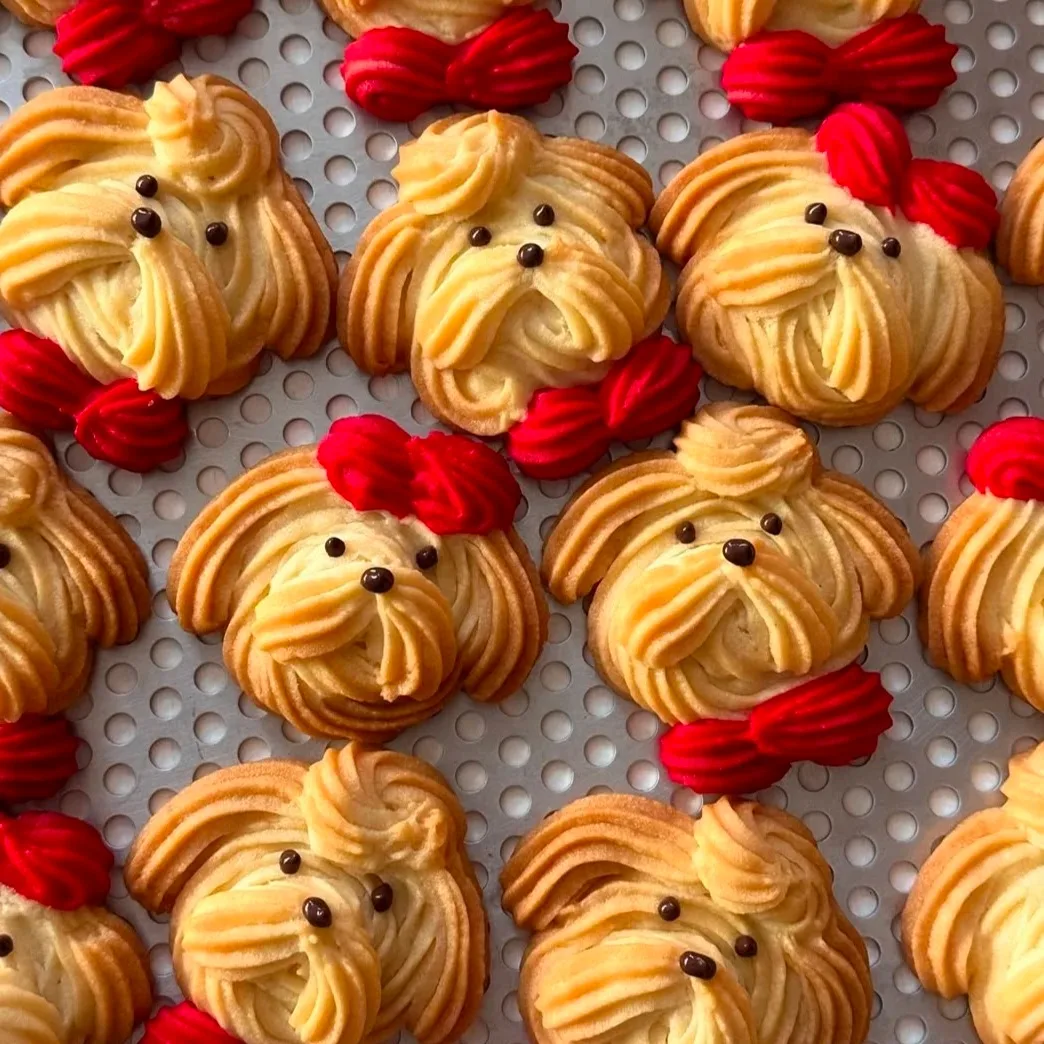 Ome 2 In 1 Nd Yag P…