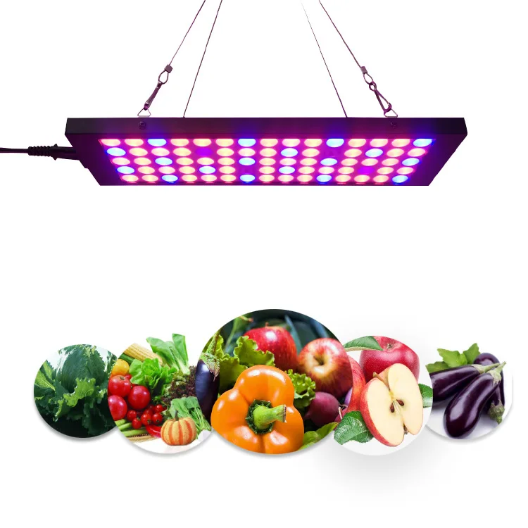 AC220V 10W LED Grow Light Phyto Lamp Full Spectrum Plant Lamp Growing Light for Vertical Farming Veg Flower Seeds Indoor Plants