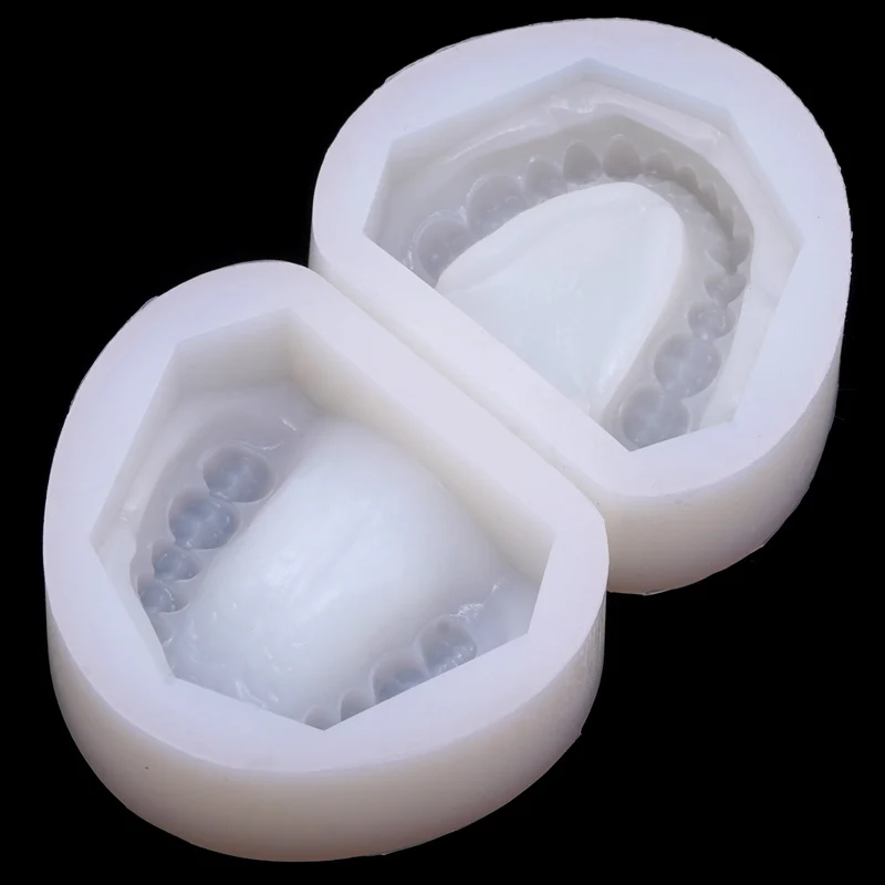 2Pcs Dental Silicone Plaster Model Mold Complete Cavity Block Mould Base Standard Full Teeth Dentistry Equipment