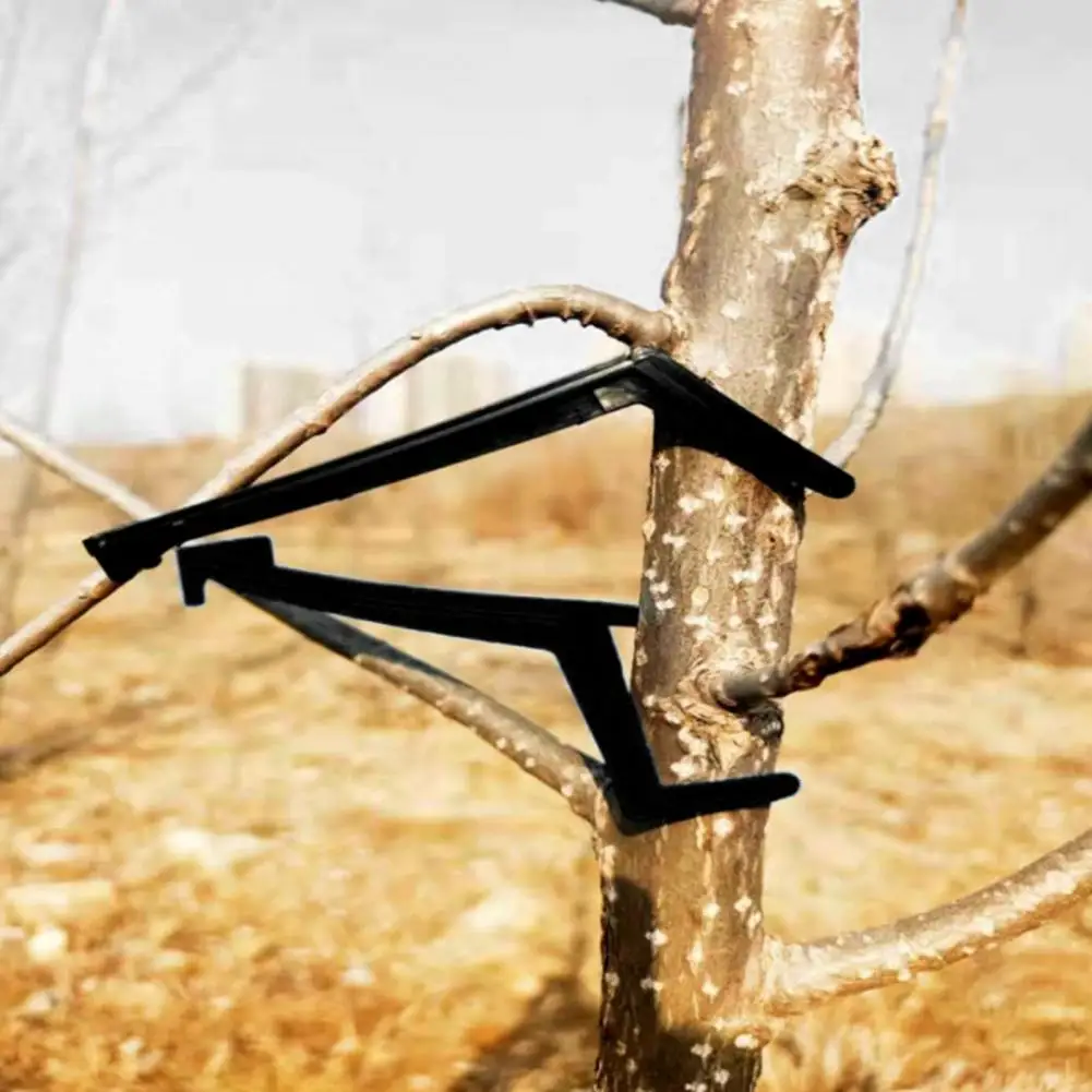 10Pcs Branch Holder Adjustable Height Pressure Resistant Weight Capacity Anti-sagging Fruit Tree Branch Spreader Courtyard Tool