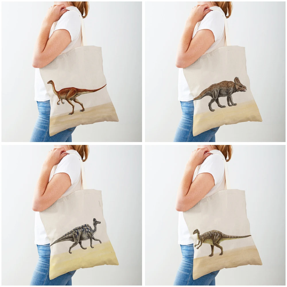 Bolsas de compras de dinosaurio Jurásico, bolso de viaje para niños de ambos lados, bolso de compras de lona con estampado de animales bonitos de dibujos animados, bolso informal