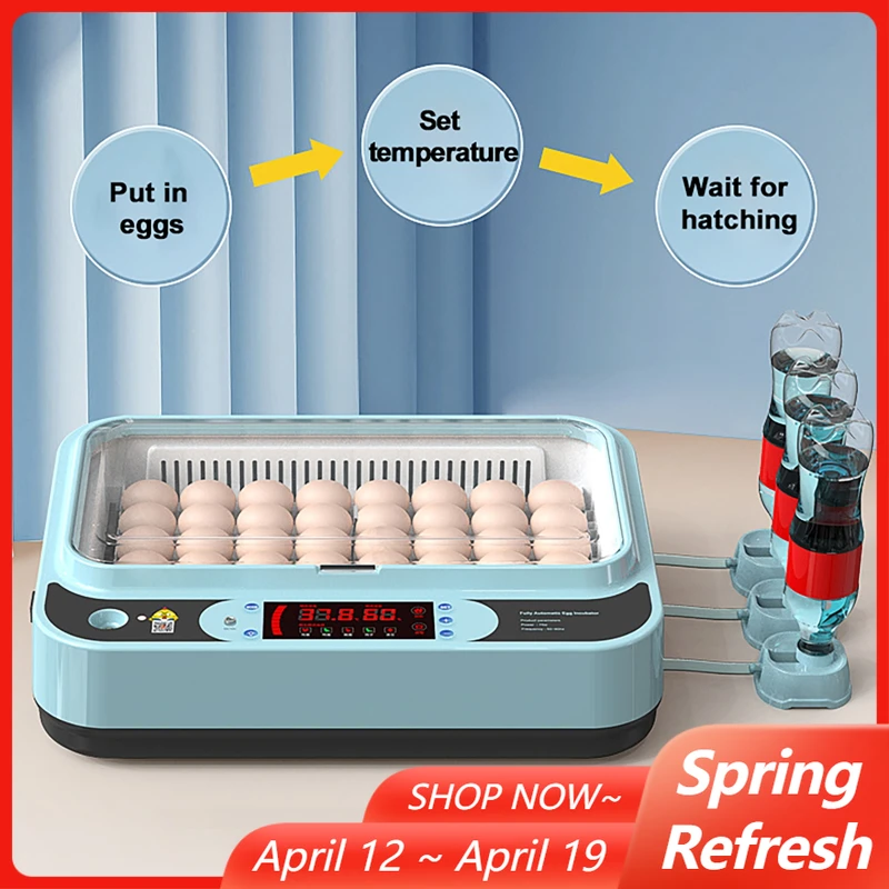 

Инкубатор для яиц на 6 мест, полностью автоматический, с функцией переворота, мини-инкубатор для домашнего использования, для инкубации куриных, гусиных, утиных и птичьих яиц