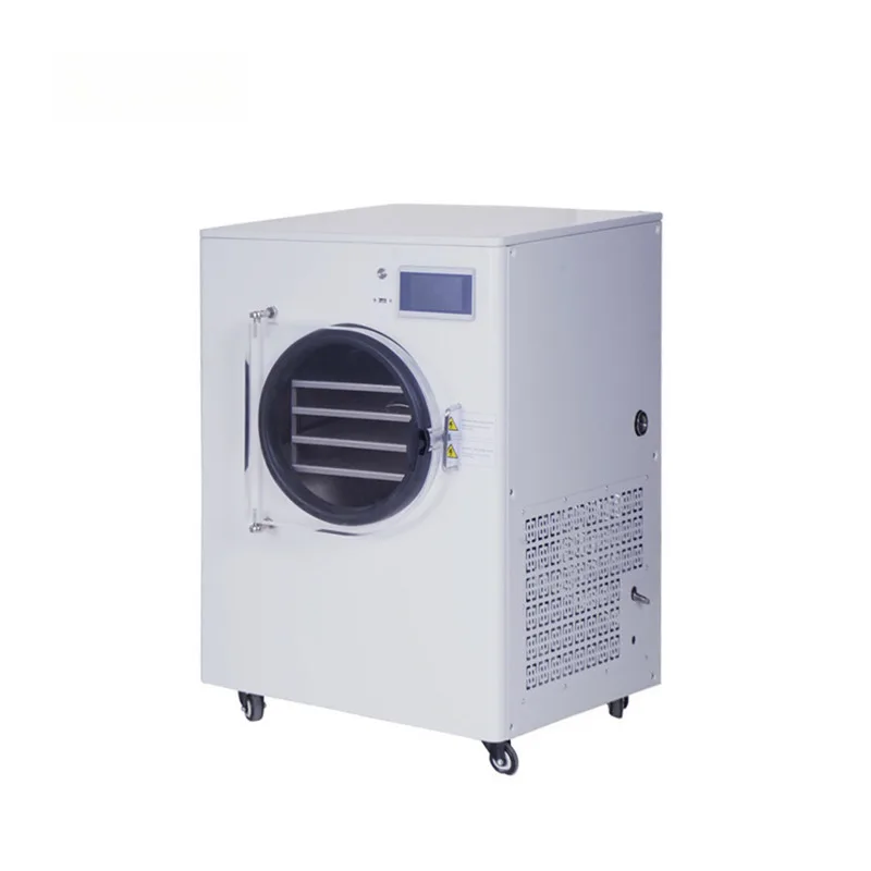 تجميد المجففة محلية الصنع الغذاء مضخة تفريغ مجفف التجميد