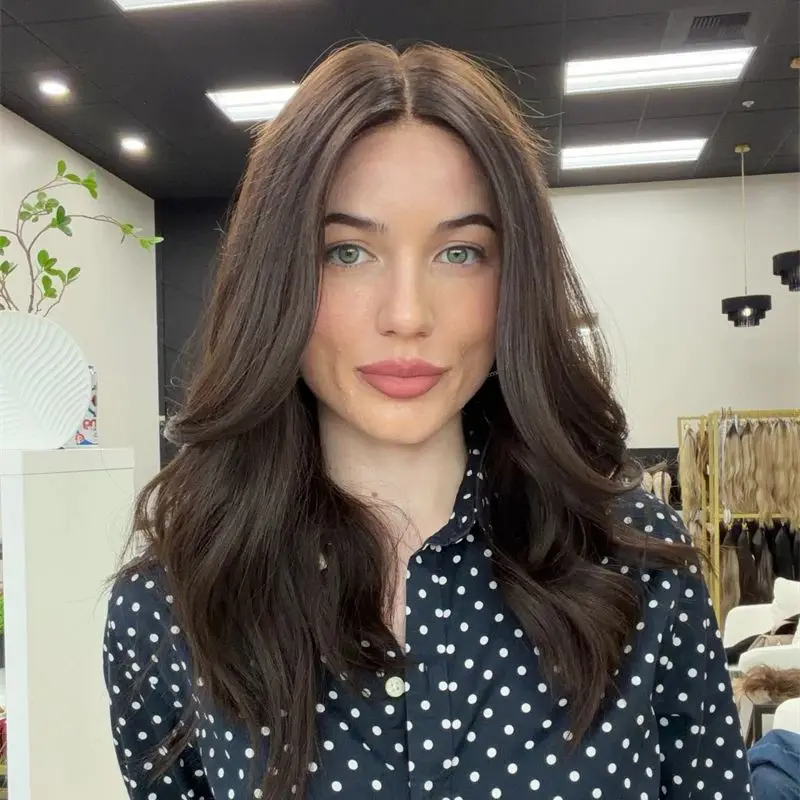 High Quality Wig 13x4 Dark Brown Highlights Synthetic HD Lace Front Wig Small Large Size Cap Preplucked Hairline with Baby Hair
