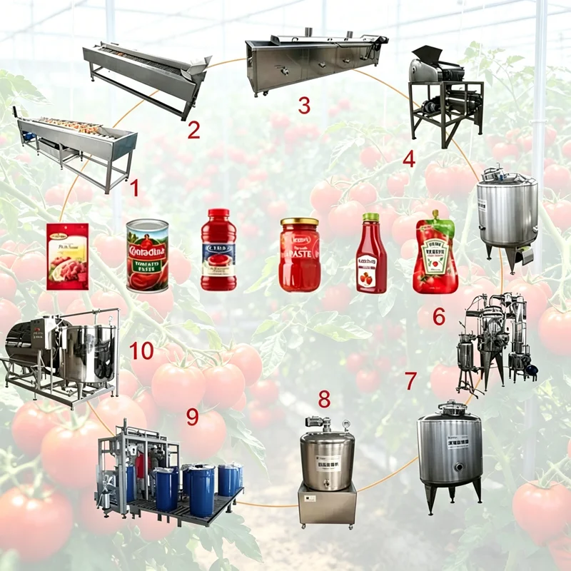 Canned Tomato Plant Processing Line Tomato Paste Turnkey Line Machine Tomato Jam Puree Turnkey Line Ketchup Production Plant