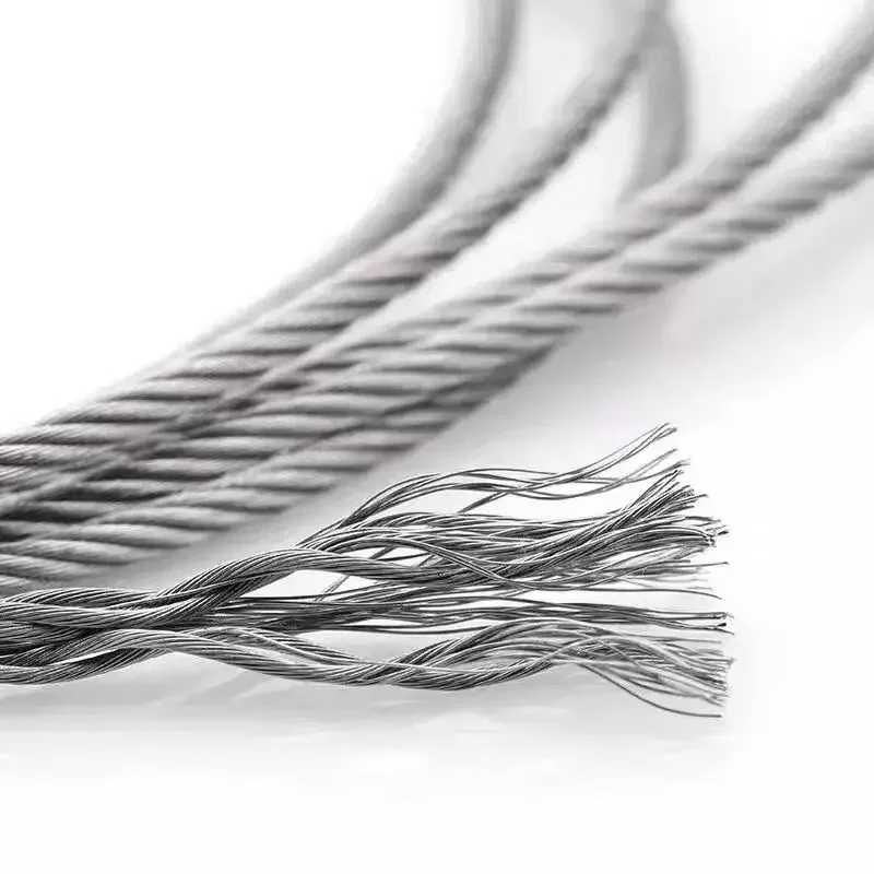 1-10Meters 304 Stainless Steel 0.3/0.4/0.45/0.5-4.0mm 7x7 Steel Wire Rope Cable Clothesline Soft Fishing Lifting Cable Rustproof