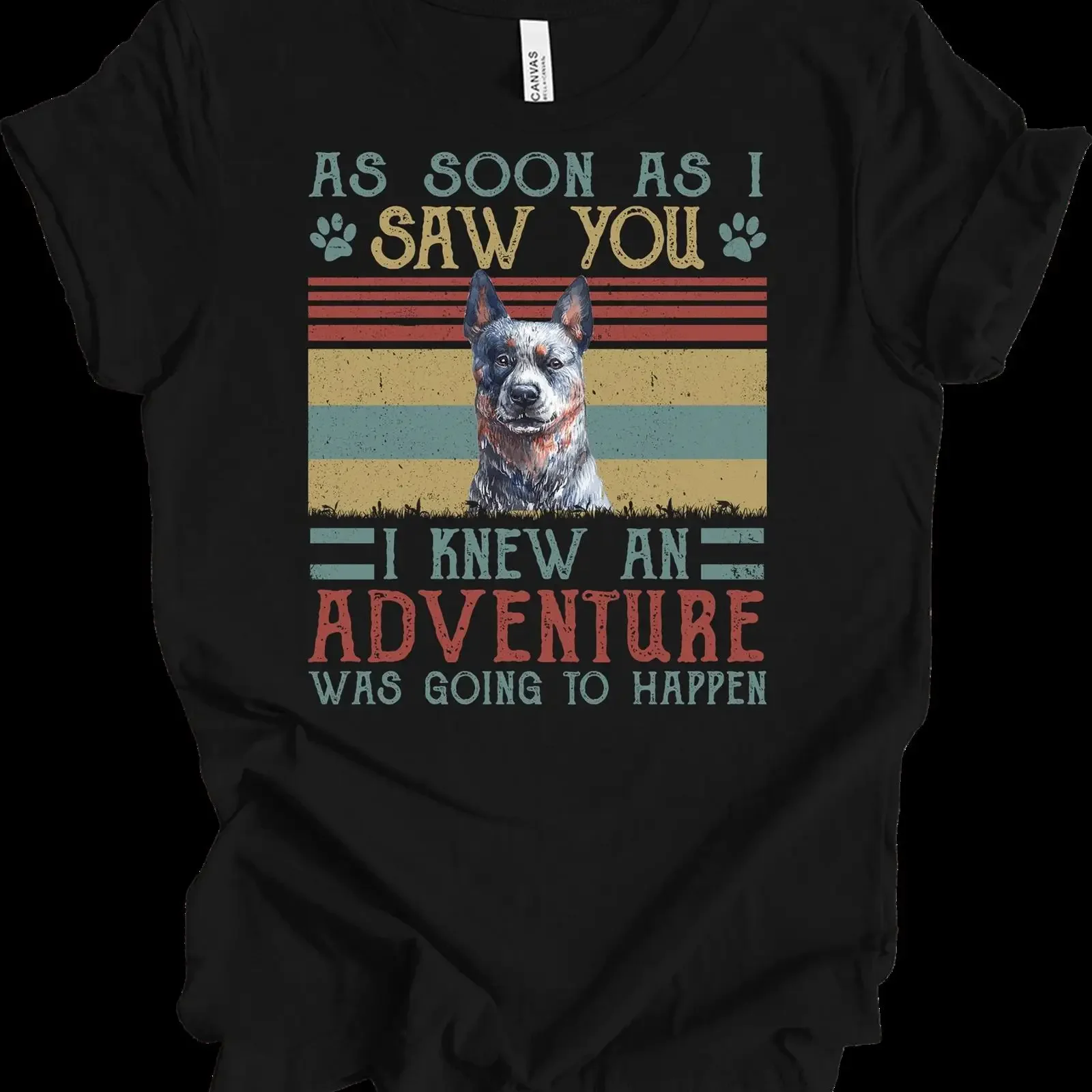 Australian Cattle Dog T Shirt Blue Heeler Abenteuer Geschenk Retro Hund Mama Papa vintage Washed Top For Everyday Wear fashion