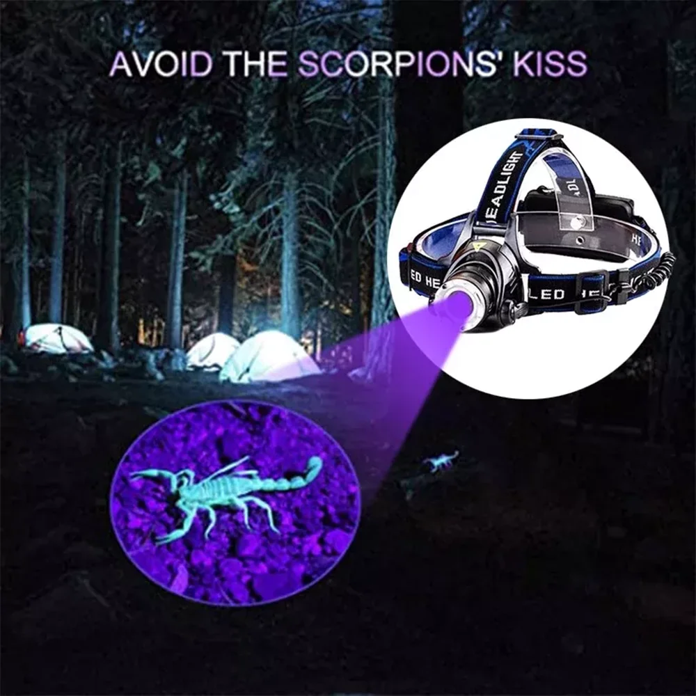 White+UV Headlamp 395nm Sensor LED Headlight Zoomable USB Rechargeable Head Lamp Ultraviolet Hunting Fishing Camping 18650 Light