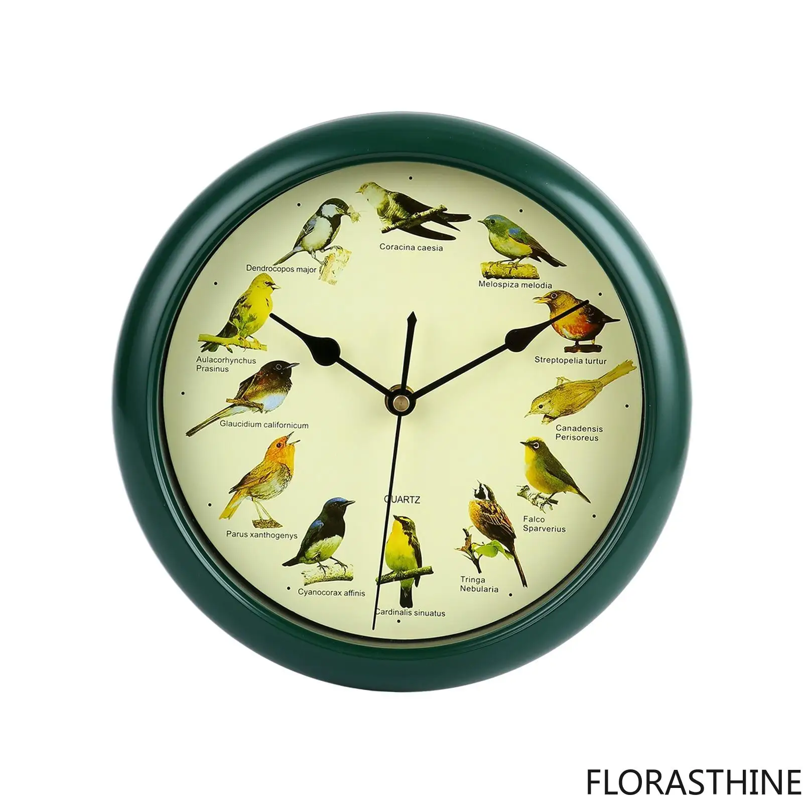 10inch Singing Wild Bird Wall Clock Battery Operated Wall Decoration Art Hanging Clock for Home Living Bed Room Decors