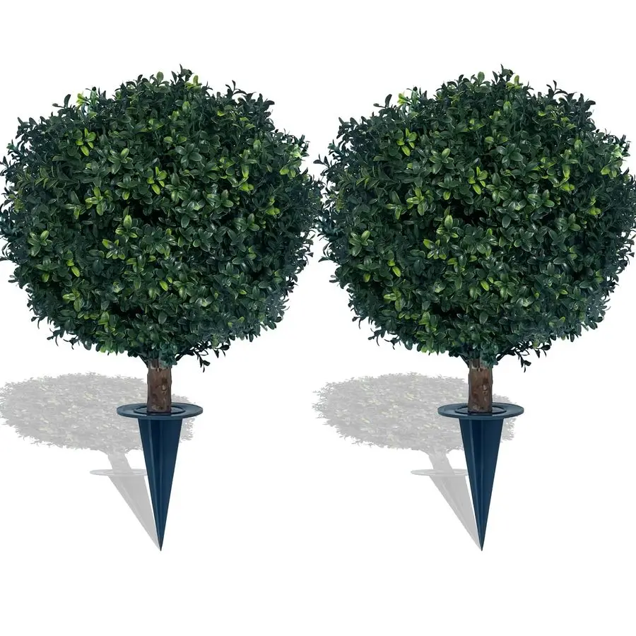 Boxwood Ball Bush 2…