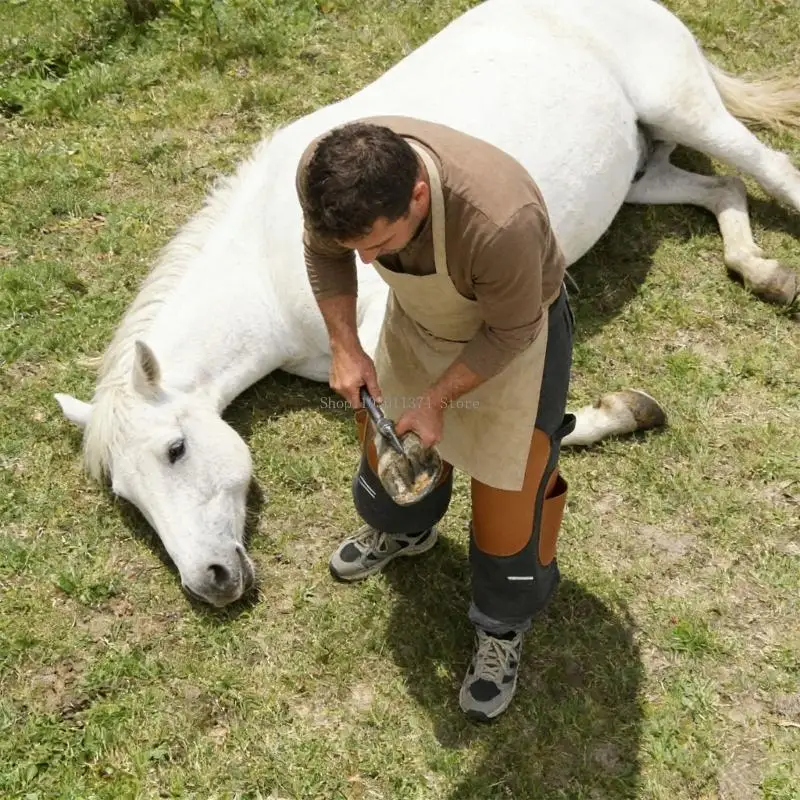 adjustable-equines-care-garment-for-hoofs-trimming-horseshoe-repair-apron