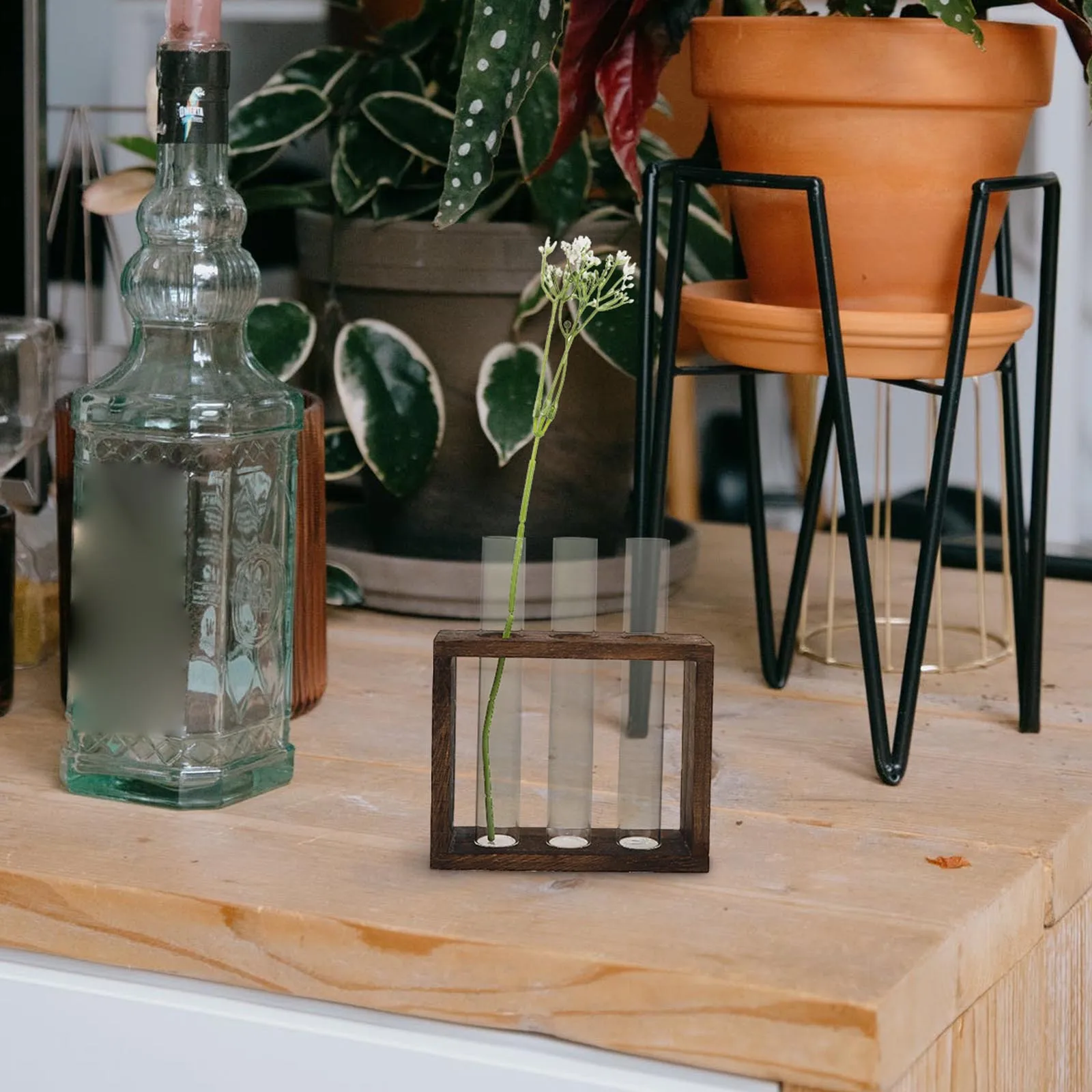 

1Pcs Test Tube Glass Vase Transparent Creative Water Planting Container Home Decor Decorative Hydroponic Planter Unique Flower