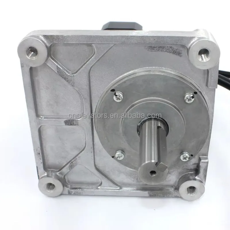 

TS4507N1228 Elevator Door Motor