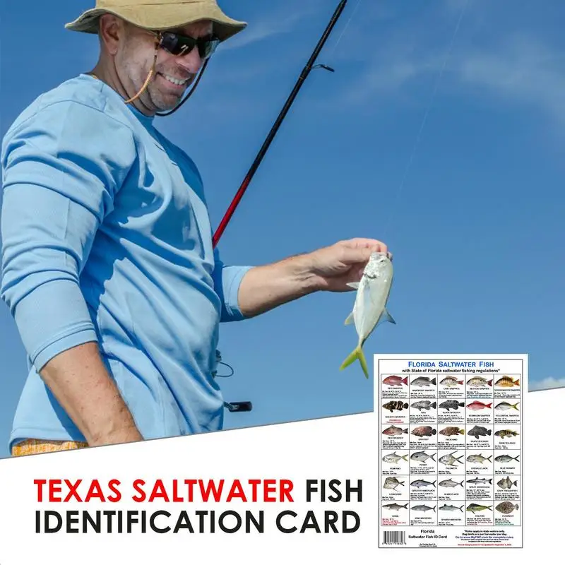 Florida Saltwater Fish Identification Card Color Photos Of Florida Waters Rules Identify Florida Waters Rules Card For Fishing
