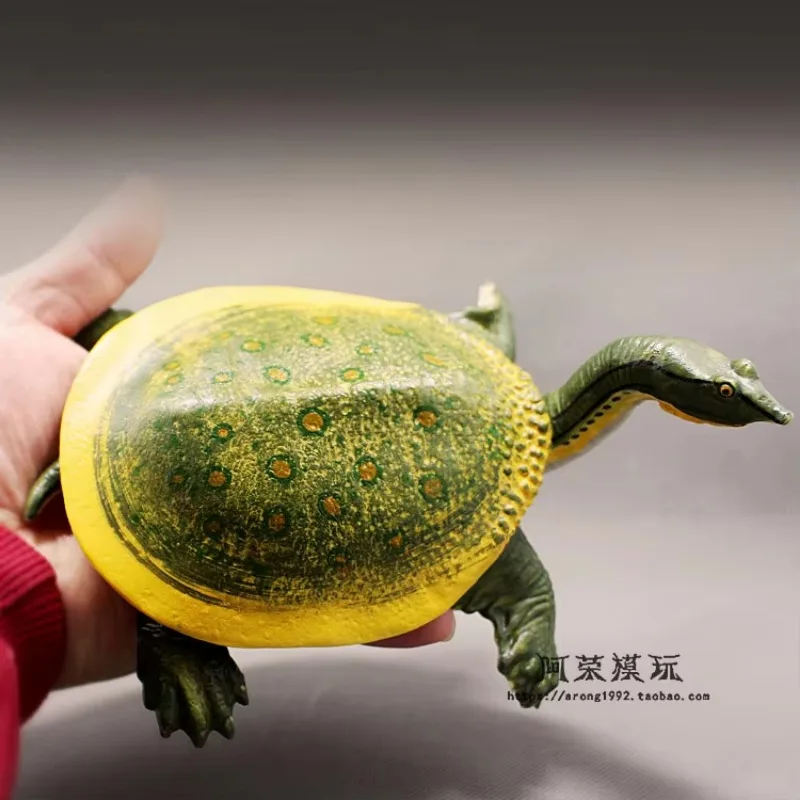Simulation Sea Animal Action Figures Leatherback & Red-eared Turtle Ocean World Aquarium Decor Land Tortoise Figurines Toy