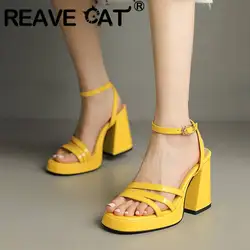 REAVE CAT Lady Sandals Patent Leather Open Toe Buckle Strap Platform 2cm Block Heel 9.5cm Sexy Dating Shoes Big Size 42 43