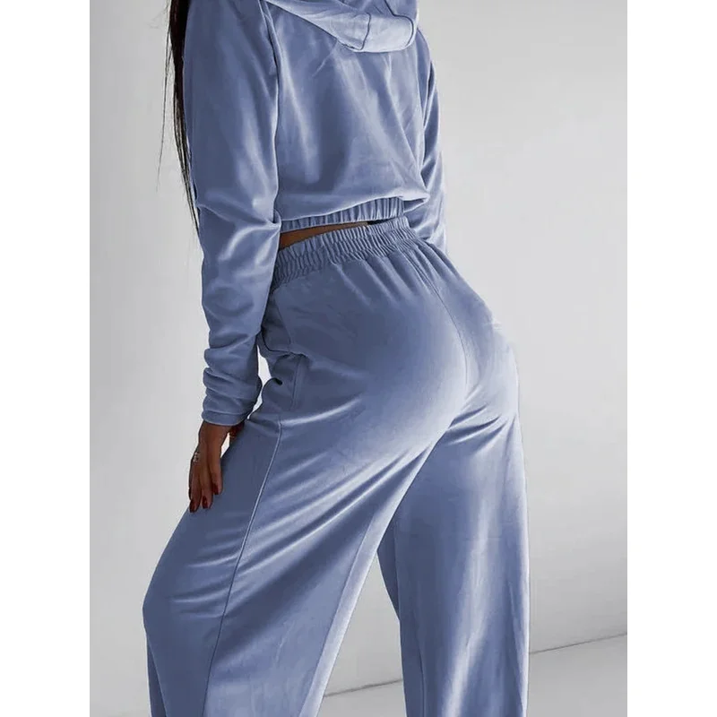 2025 nuevo otoño Color sólido mujer plata zorro traje de terciopelo de manga larga con capucha chaqueta cárdigan pantalones casuales elásticos mujer T ★ ★ ★ ★