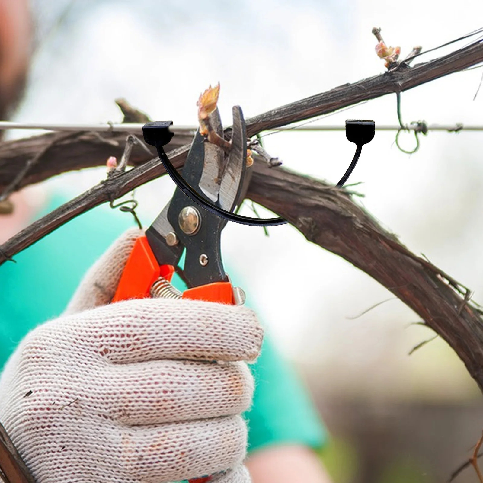 

Fruit Tree Stem Support Clip Plant Fixing Clamp Vine Support Garden Supplies Plastic Plant Clip For Grape Vines Climbing