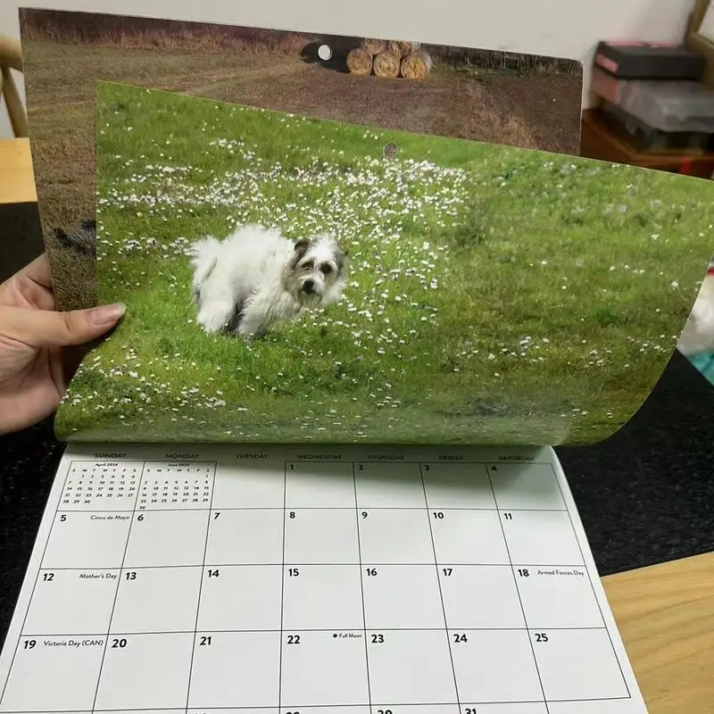 Calendario de pared de perros Pooping 2024 2024, arte mensual de cachorros lindos, calendario de pared colorido de 12 meses, divertido perro