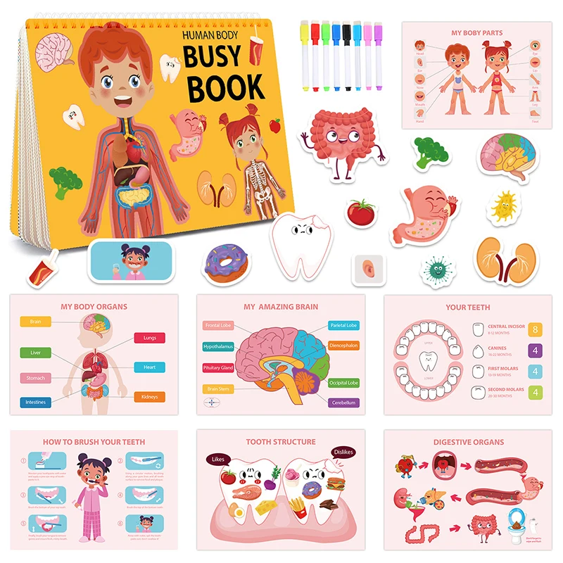 Children Human Organs Quiet Book Montessori Toys Parish Body Structure Learning My First Busy Book Educational Game Sensory Toys