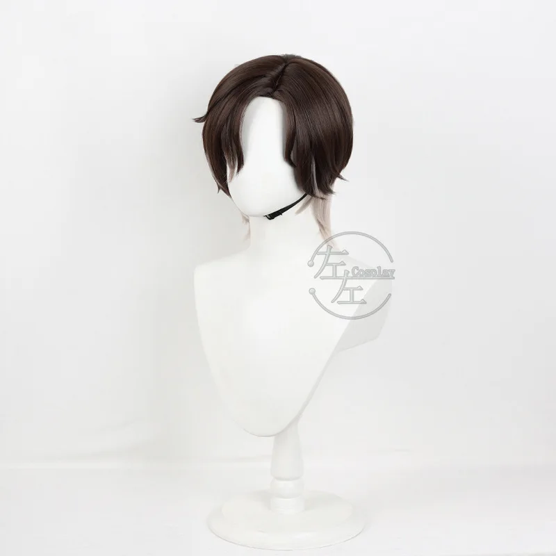 Gioco Honkai Star Rail Mr. Reca Parrucca Cosplay Reca 30CM Capelli corti grigi castani per donna Uomo Accessori per feste di carnevale di Halloween