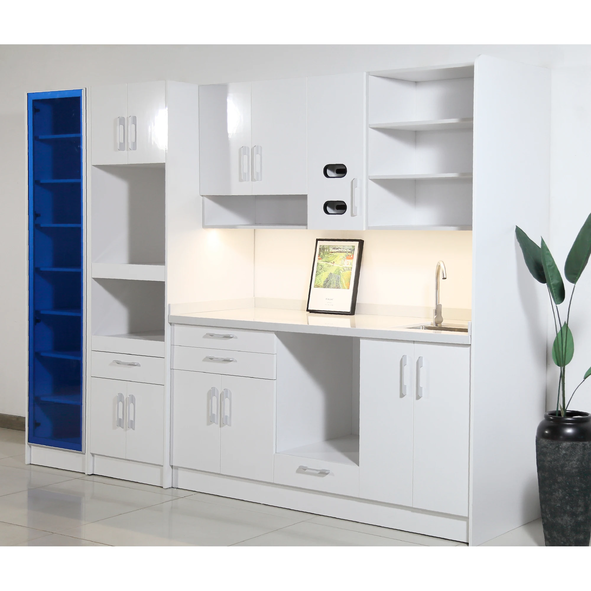 Premium Plywood Dental Storage System With American Market Expertise and Custom Cabinetry Solution for Dental Suite