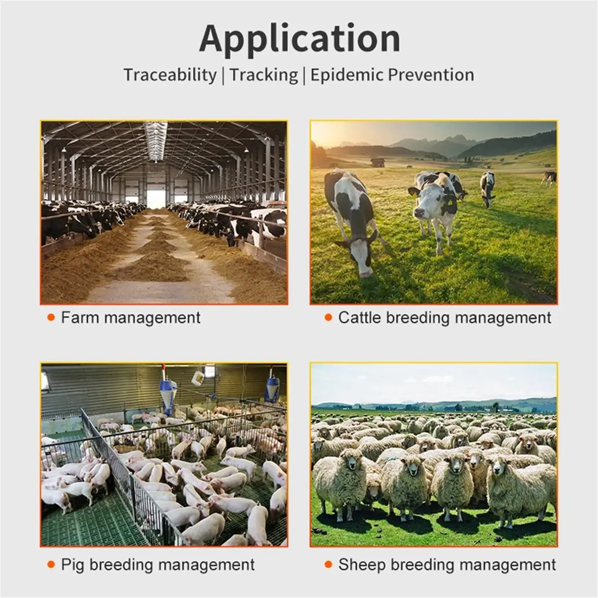 a16i-10-unidades-de-etiqueta-de-orelha-rfid-em4305-para-animais-etiqueta-de-orelha-para-suinos-1342-khz-etiquetas-de-orelha-para-animais-para-fazendas-de-suinos