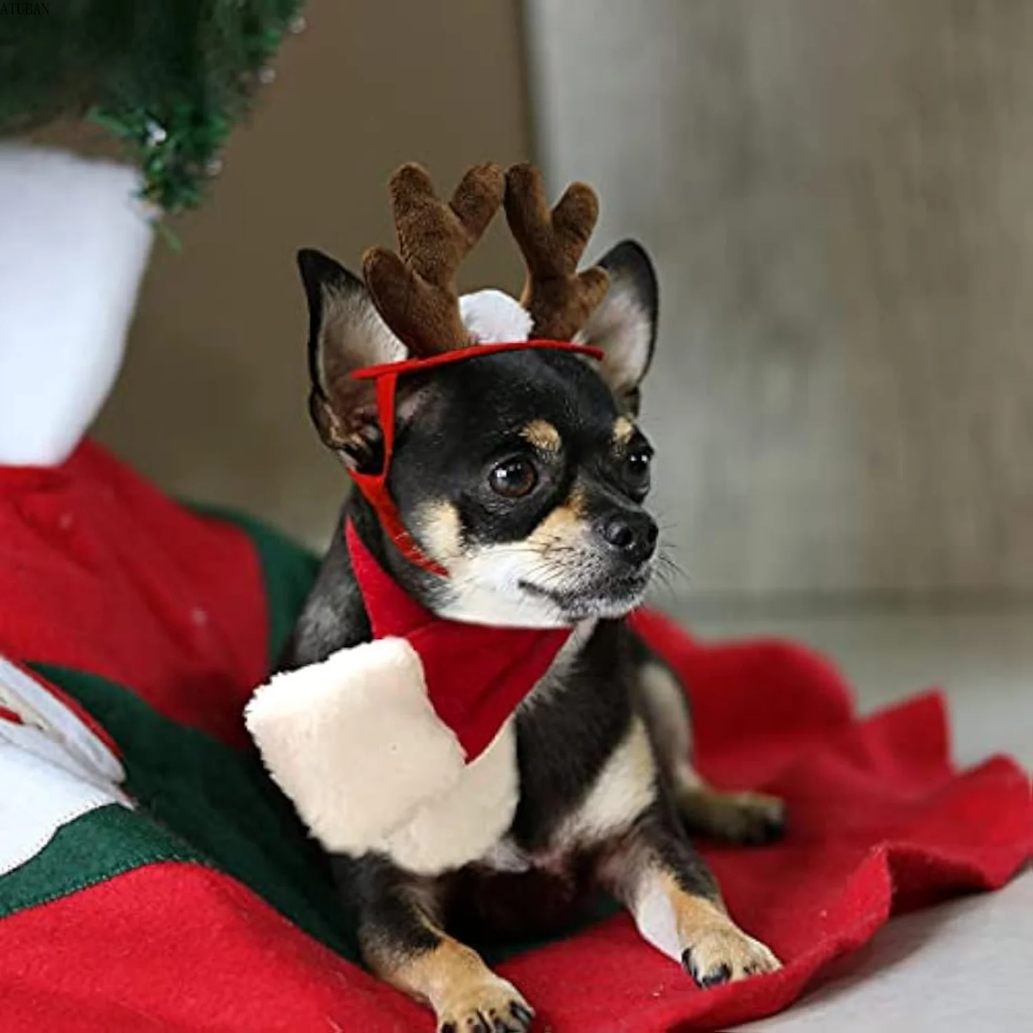 ATUBAN Small Dog Costume Christmas , Cat Santa Pet Christmas Reindeer Antlers with Scarf for Cat, Small Dog puppy accessories