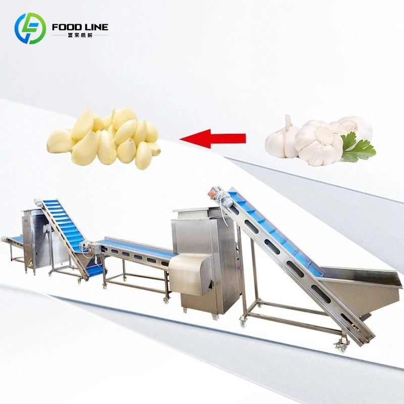 Customized Professional Garlic Sorting Peeling Washing Separating Production Line