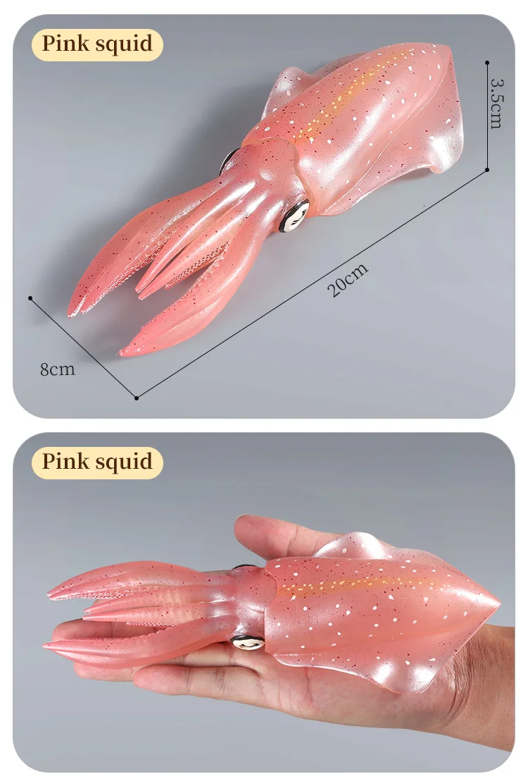Pädagogische Marine Molluscs ModelToys – Simulation Tintenfisch Oktopus Wachstumszyklus Actionfigur für Kinder Sealife Animal Collection – Detail 11