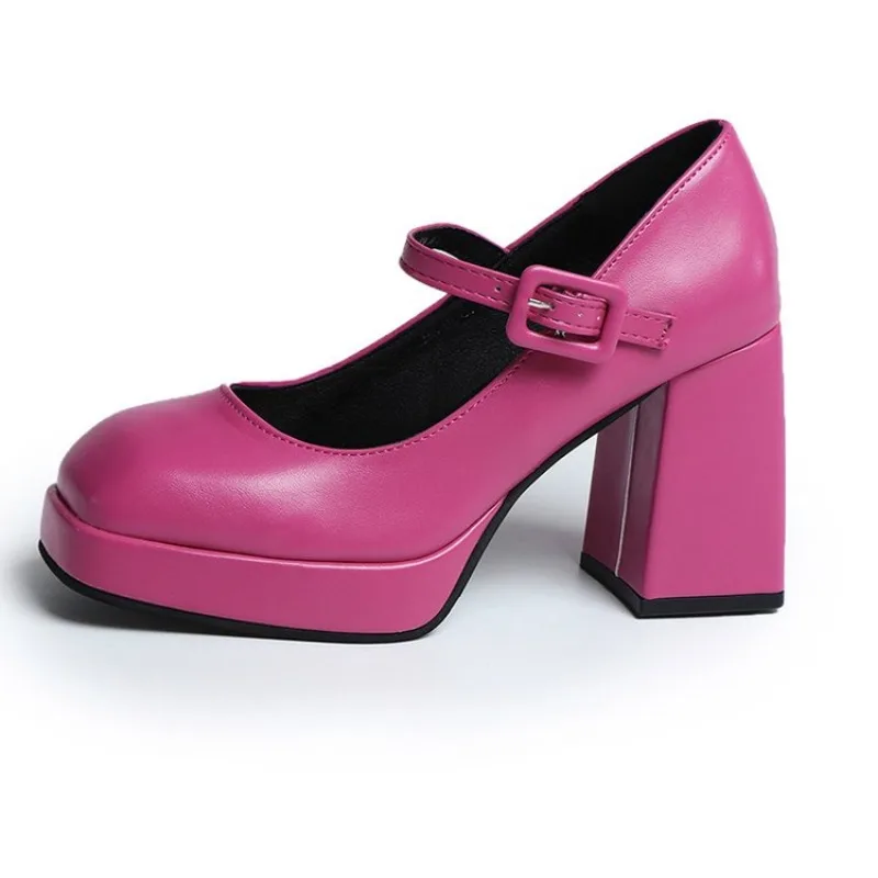 High Heels Mary Jane Shoes Women 2024 Spring New Fashion Chunky Platform Pumps Woman Ankle Buckle Party Lolita Shoes Plus Size