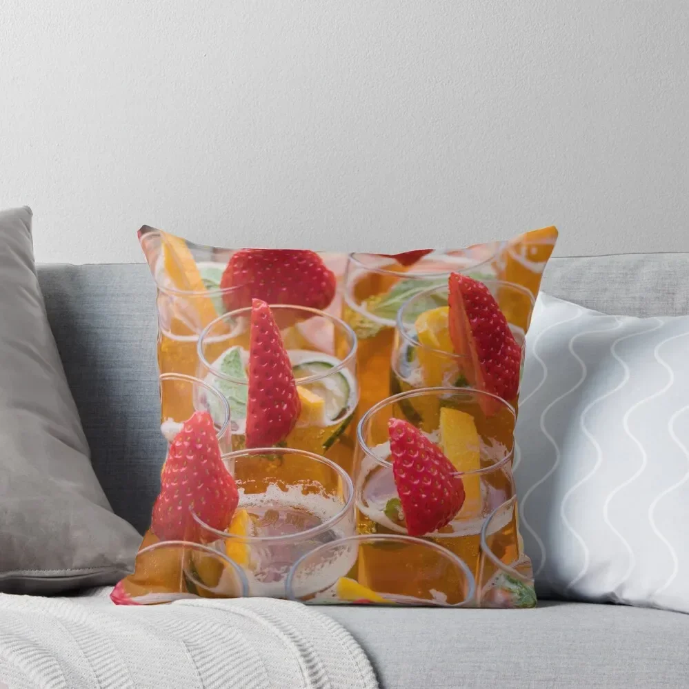 Pimms and Strawberry Drink Throw Pillow Sofa Pillow Cover Decorative pillow case Decorative Sofa Cushions