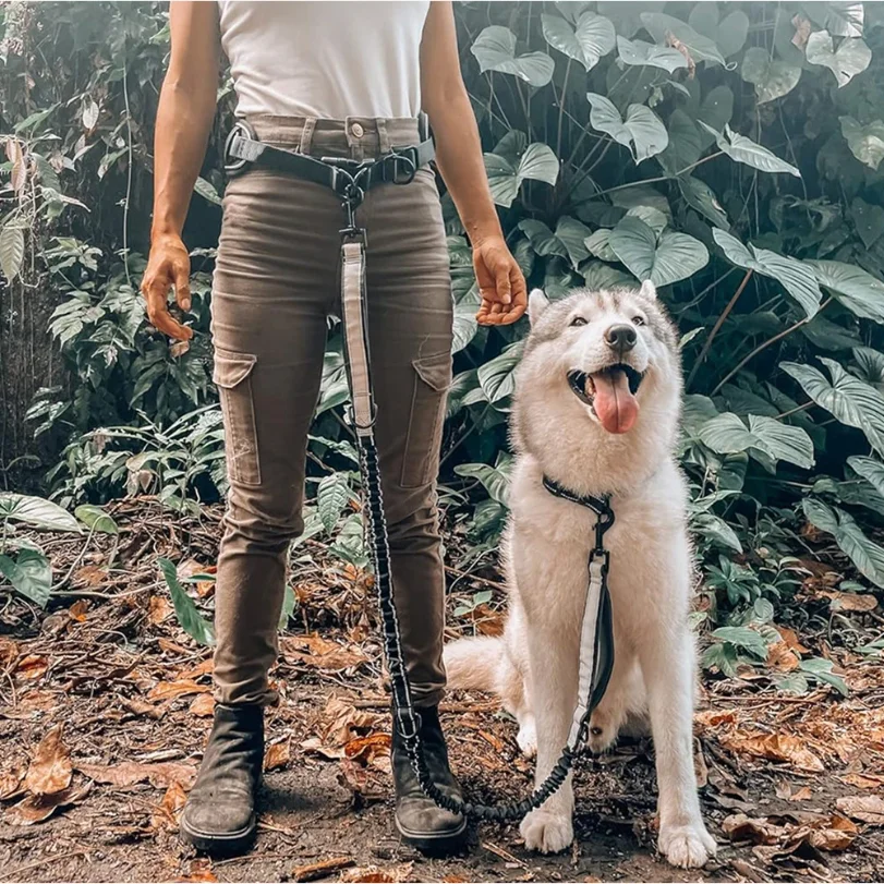 Hands Free Dog Leash Dog Waist Leash With Lumbar Support Belt Multifunctional Extendable Dog Leash Reflective Bungee Leash Black view 4