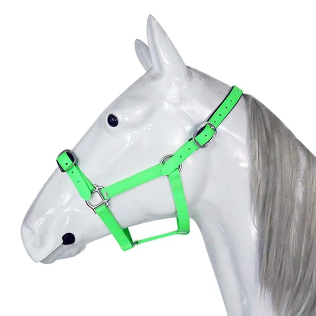 Rainbow Glitter Vegan Horse Halter, Heavy-Duty PVC Hybrid with Brass Lead Chain