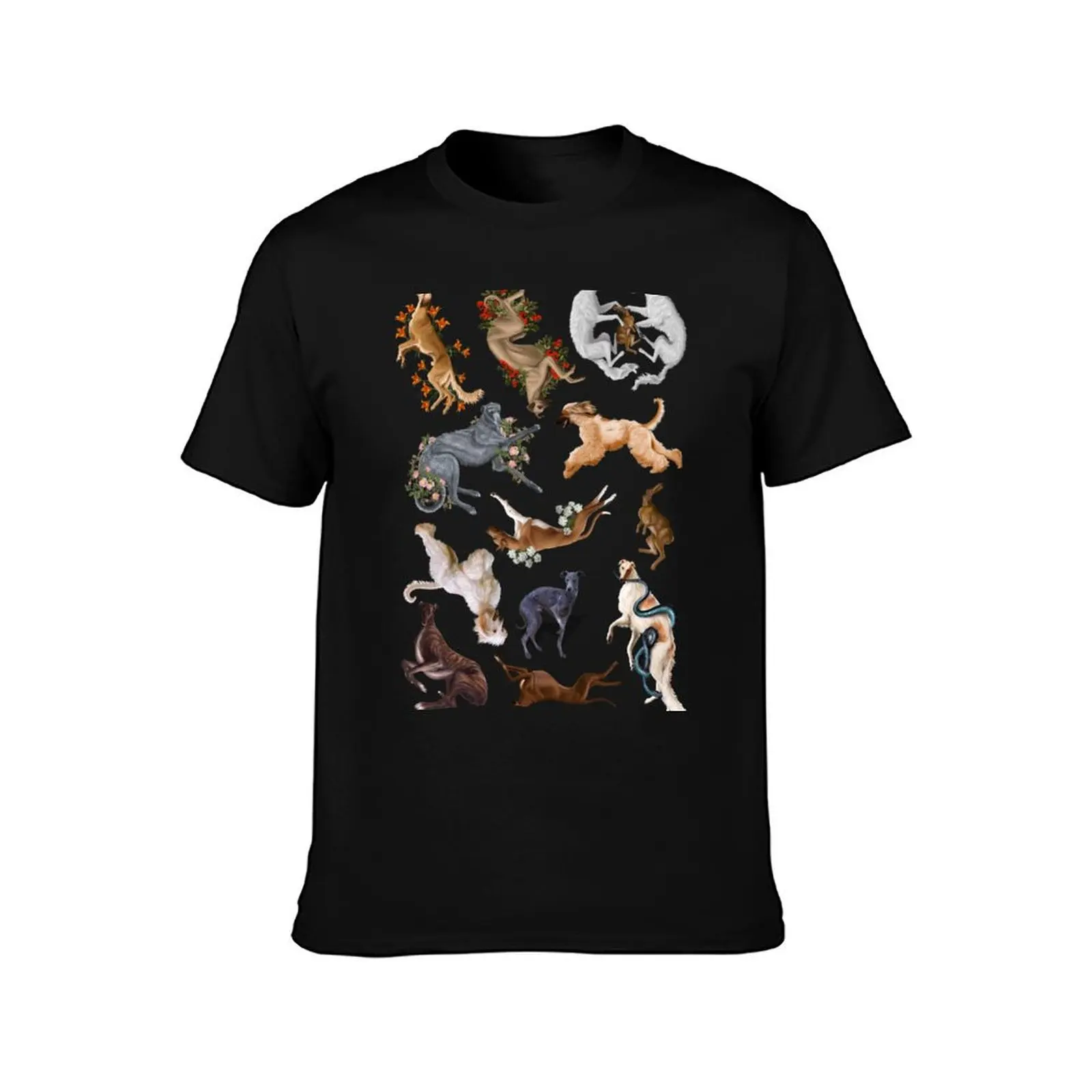 Sighthounds T-Shirt t shirts designer T-Shirt
