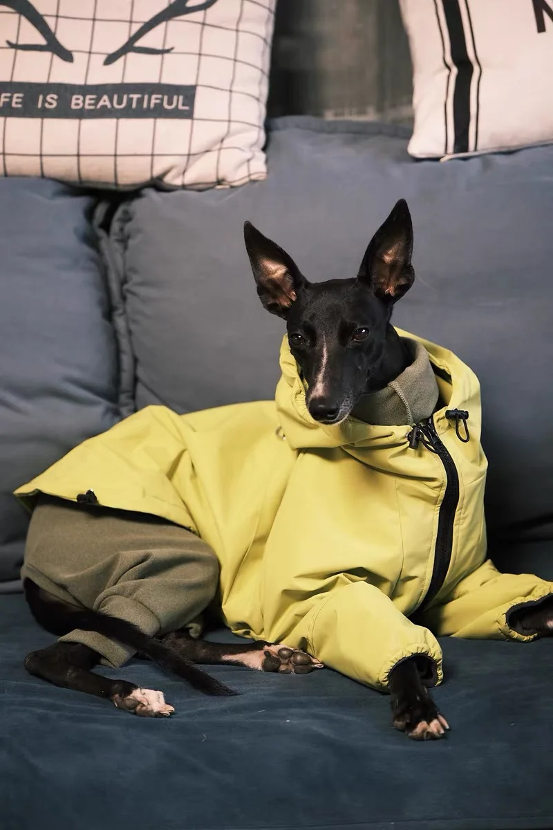 Fashion Windproof Jacket for Italy Greyhound Luxury Soft Media Big Dogs Raincoat Yellow Waterproof Dog Clothes for Bedlington