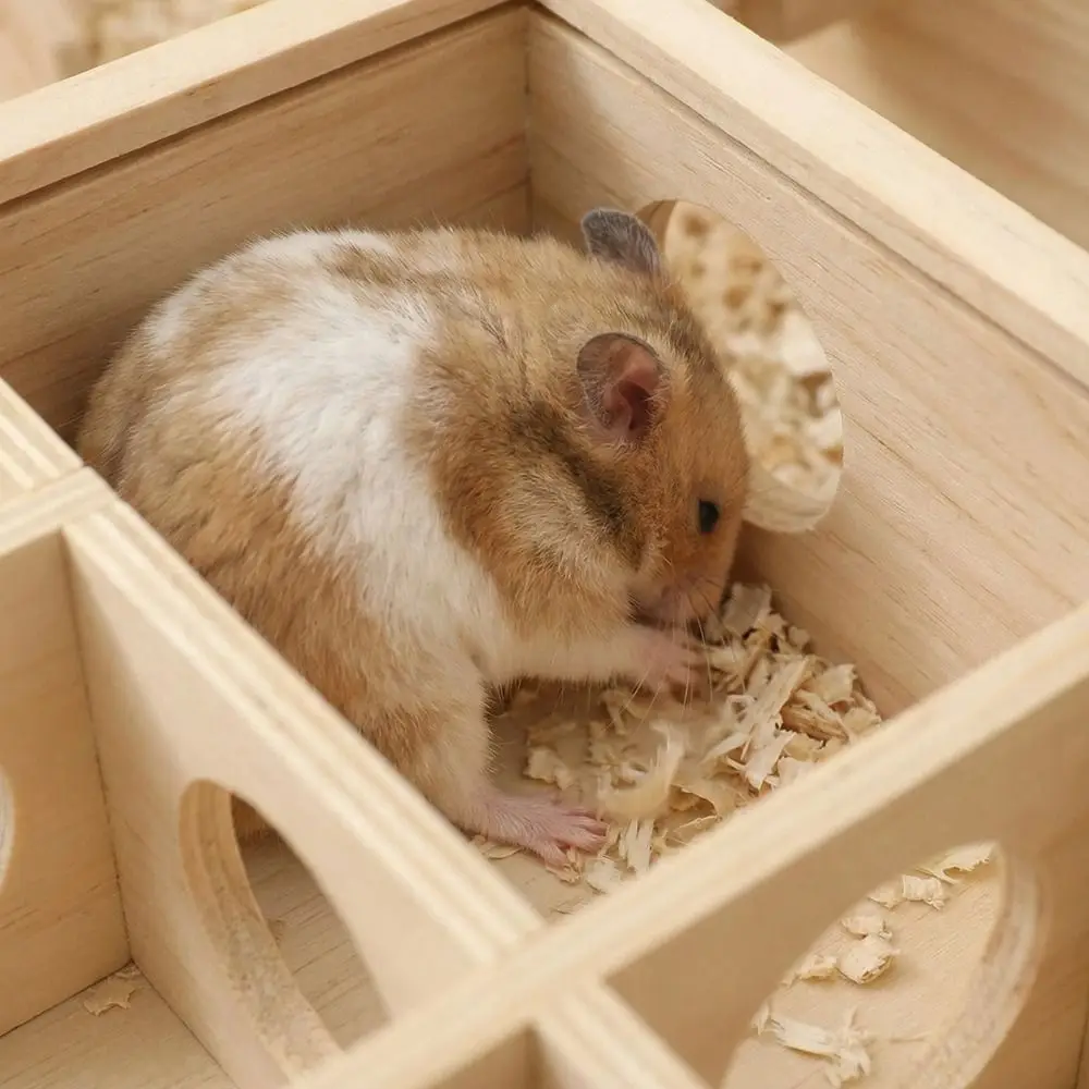 Multi Format Wooden Hamster Tunnel Maze Bite Resistant with Cover Pet Interactive Toy Exploration Guinea Pig Puzzle Toy Exercise