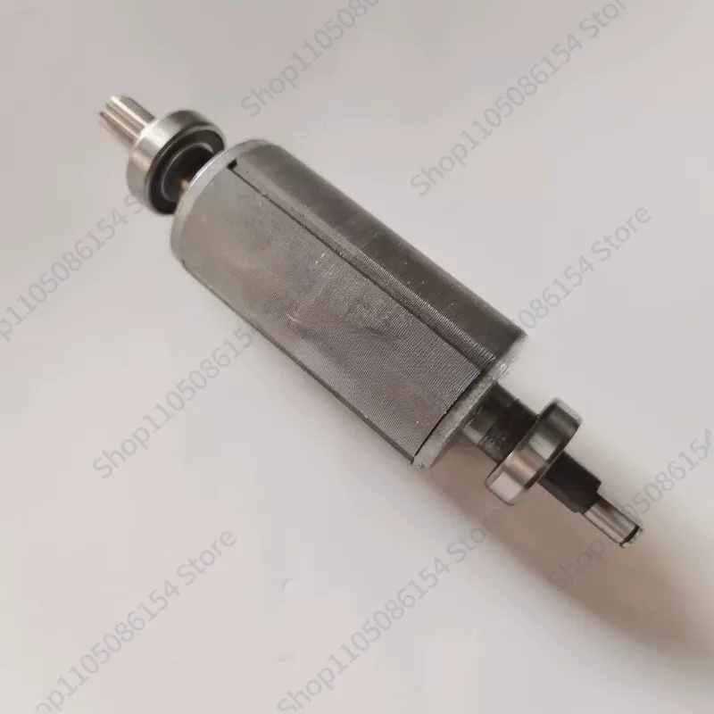 

490/495/59 390/395 Sprayer Motor Rotor, High Pressure Airless Sprayer