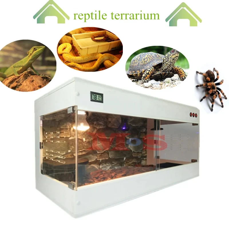 Constant Temperature Reptile Enclosure Terrario Gecko Terrarium Accessories