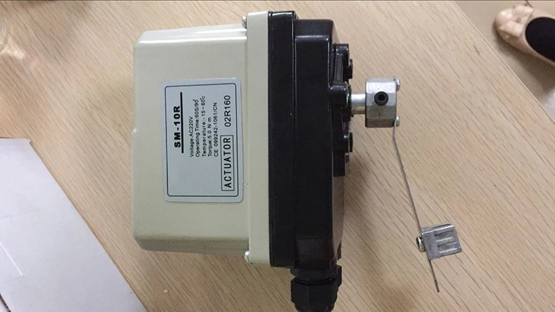 

SM-10R 60S Electric Actuator AC110V/220V