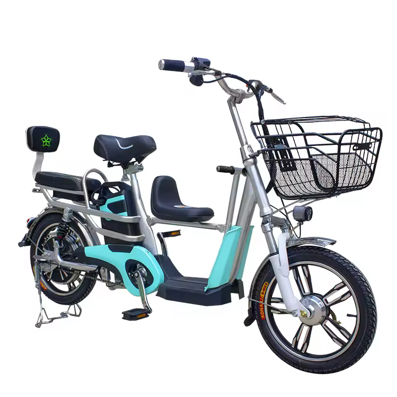 OEM 전기 자전거 이미지