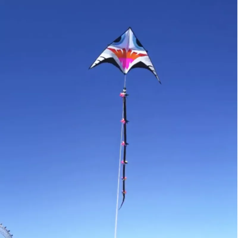 free shipping giant kites tails windsocks kites flying for kids kite reel parafoil linha de pipa paraquedas bolador outdoor toys